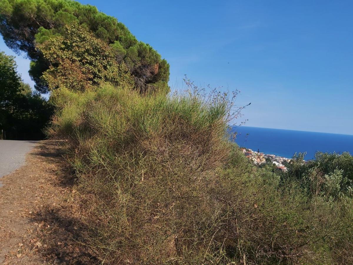 Costa E Mare Apartment Savona Luaran gambar